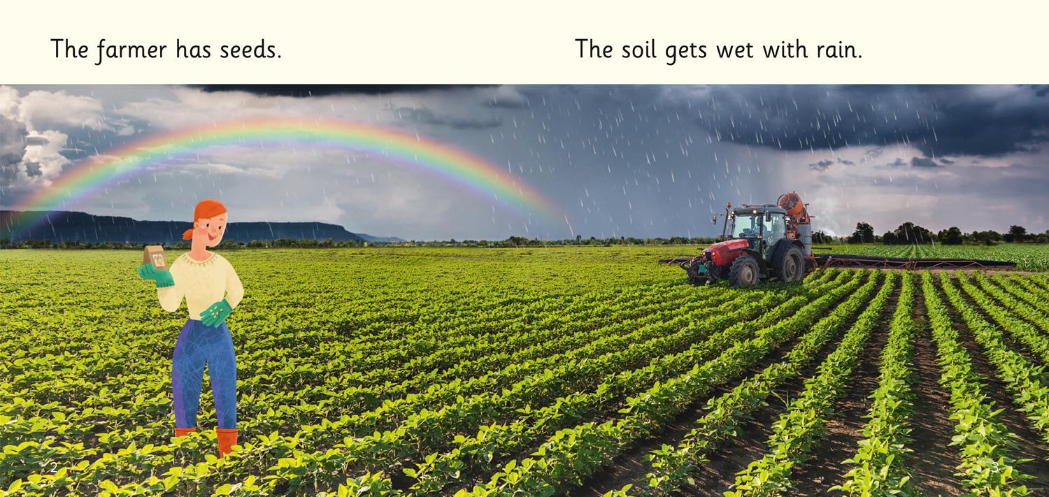 Beispielinhalt (Bild) Food on the Farm