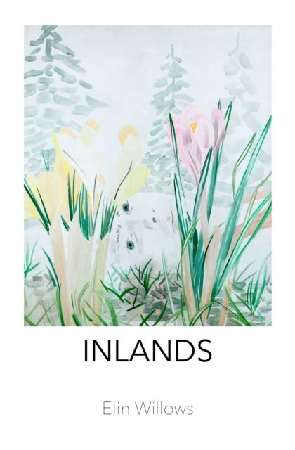 Vorderes Coverbild Inlands