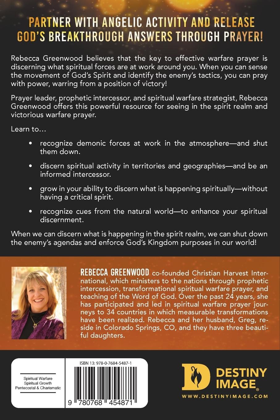 Rückseitencover Discerning the Spirit Realm