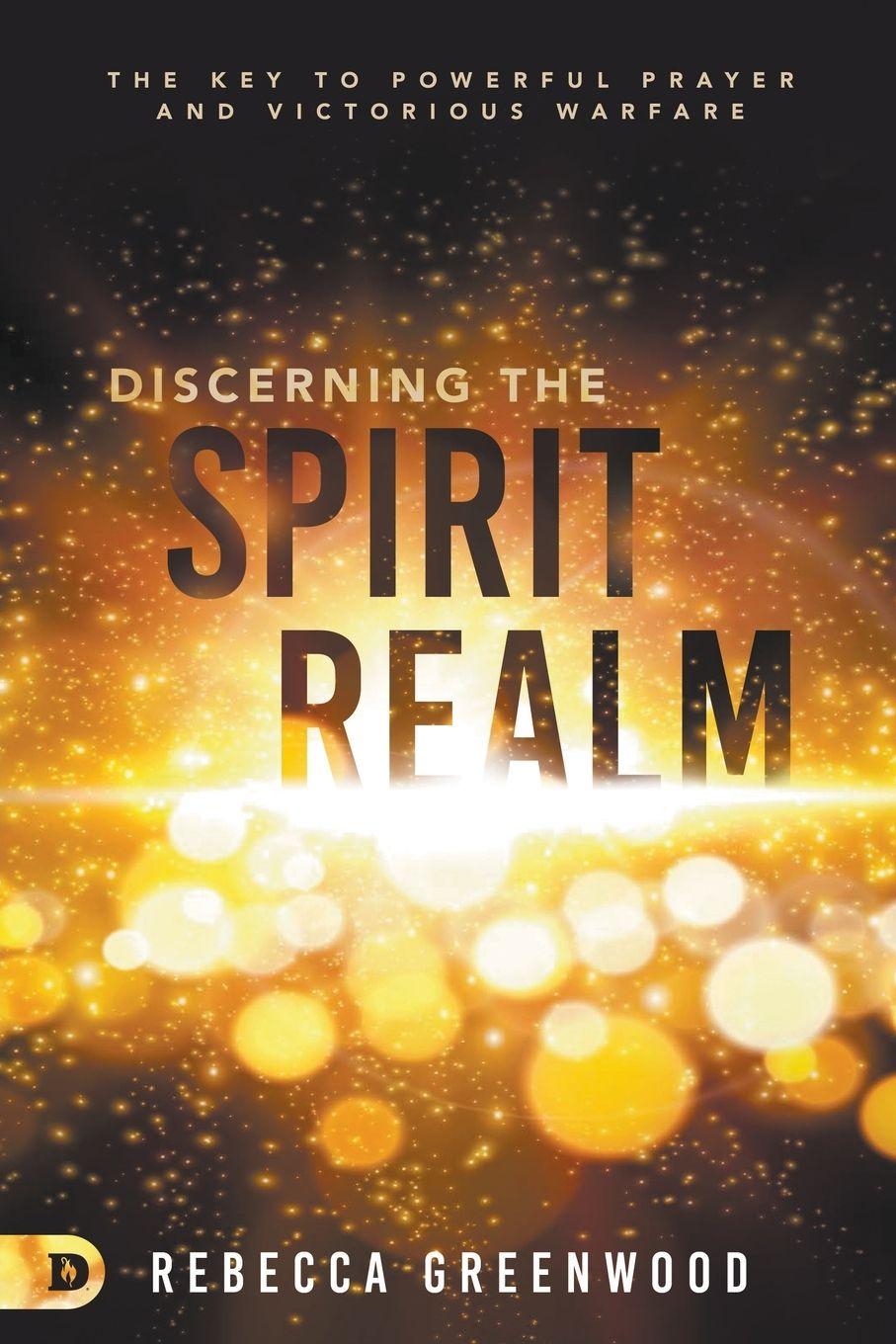 Vorderes Coverbild Discerning the Spirit Realm