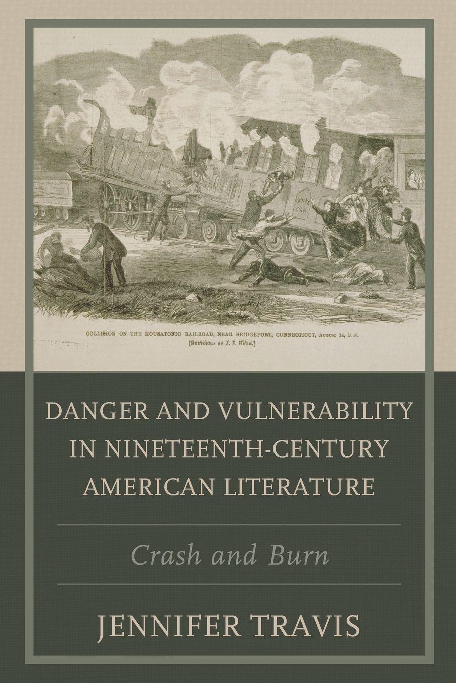 Vorderes Coverbild Danger and Vulnerability in Nineteenth-century American Literature