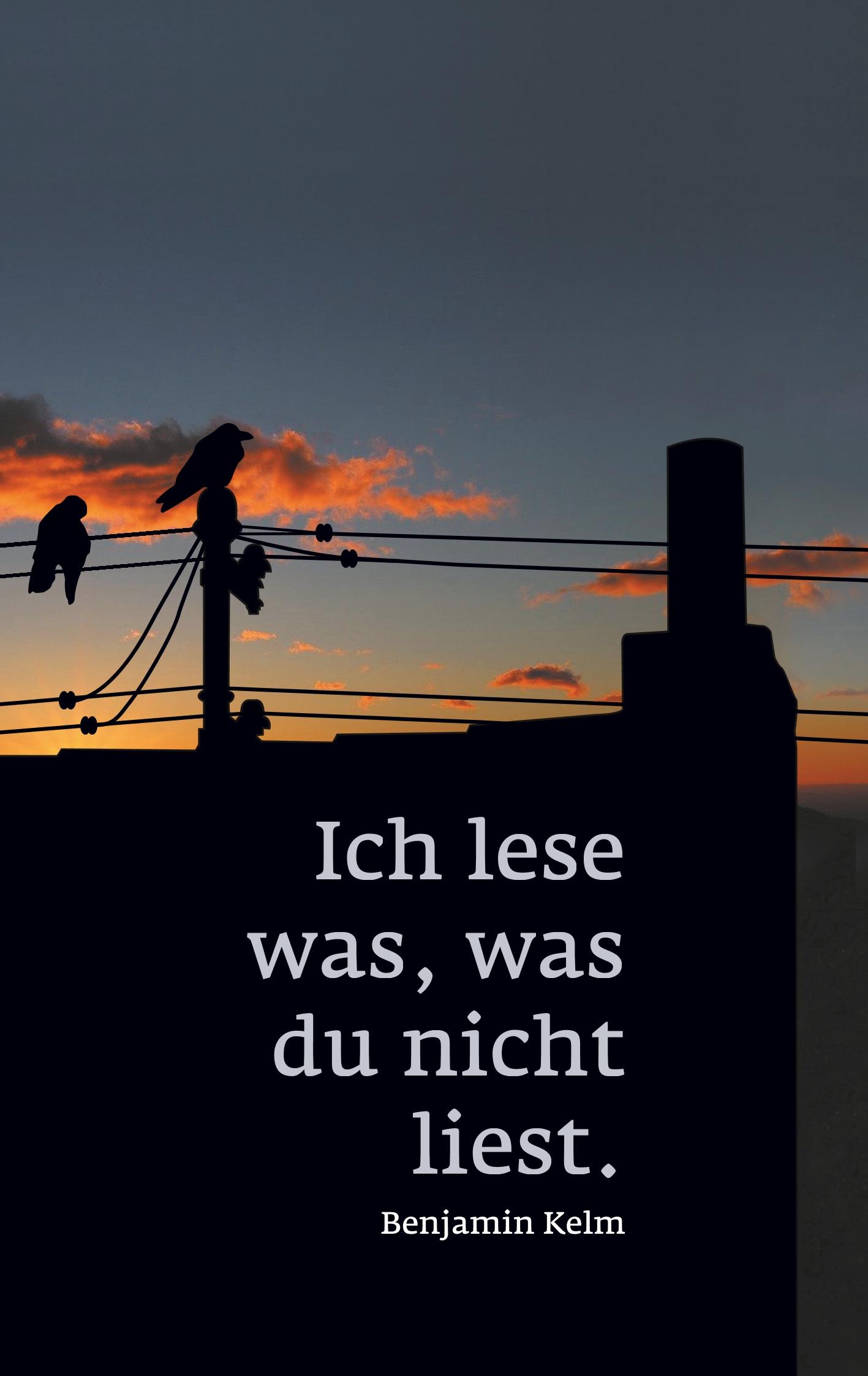 Vorderes Coverbild Ich lese was, was du nicht liest.