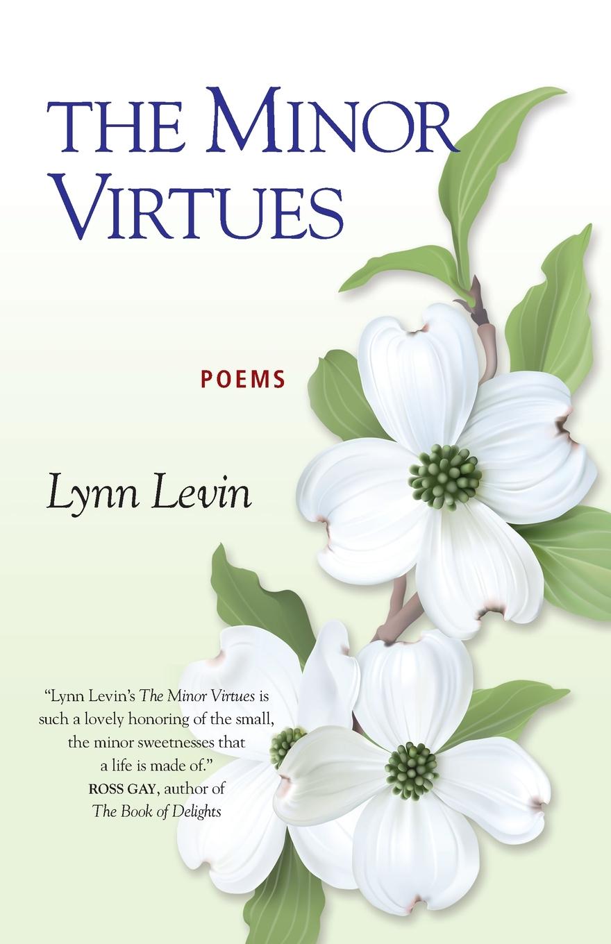 Vorderes Coverbild The Minor Virtues: Poems