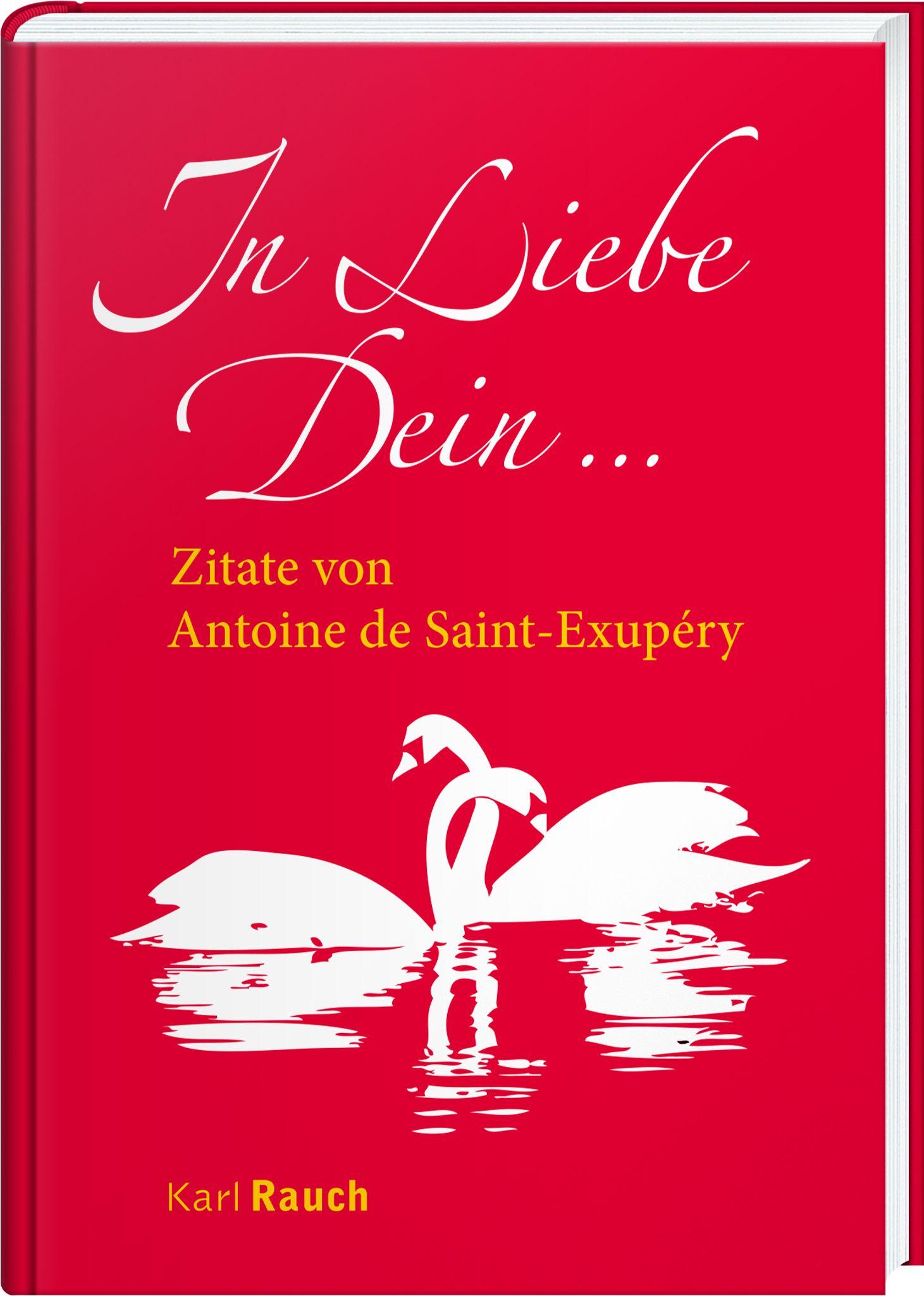 Vorderes Coverbild In Liebe Dein