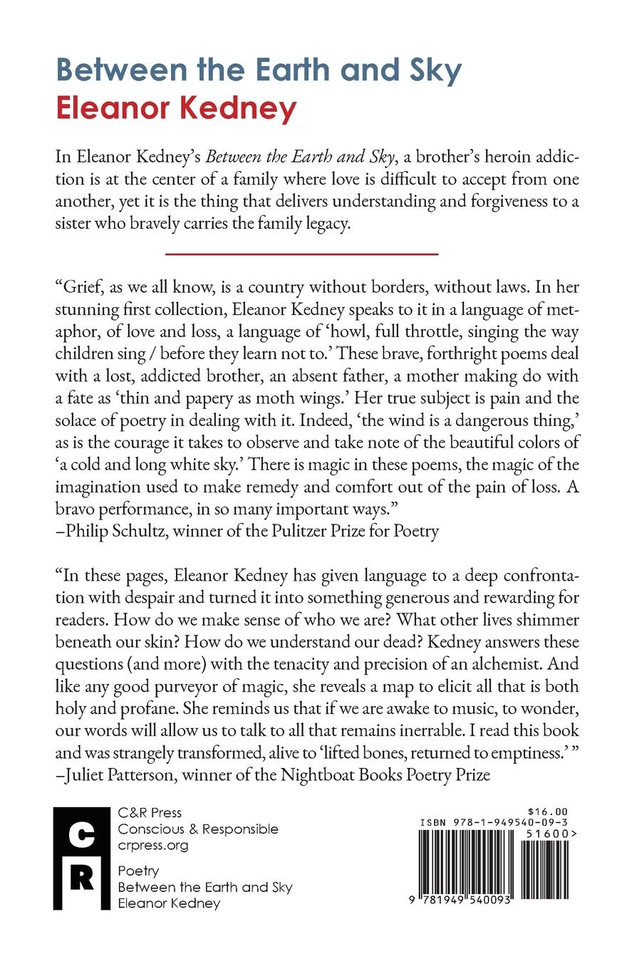 Rückseitencover Between the Earth and Sky