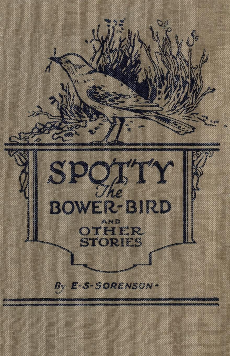 Vorderes Coverbild Spotty the Bower Bird