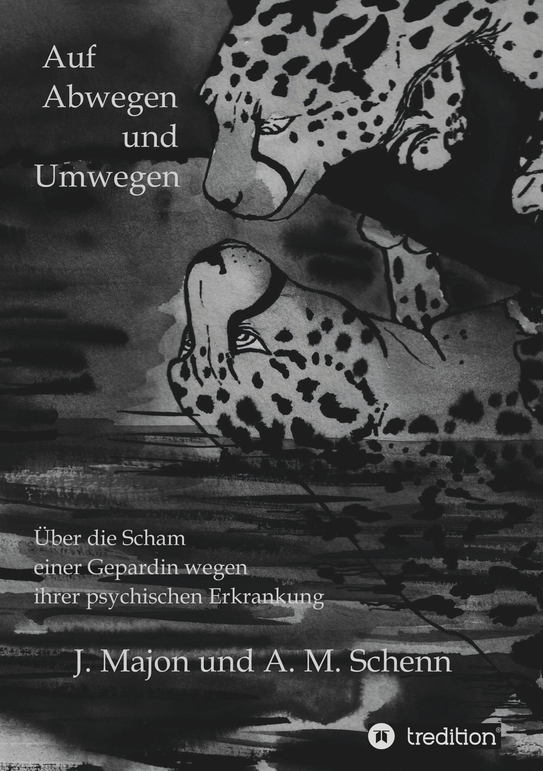 Vorderes Coverbild Auf Abwegen und Umwegen