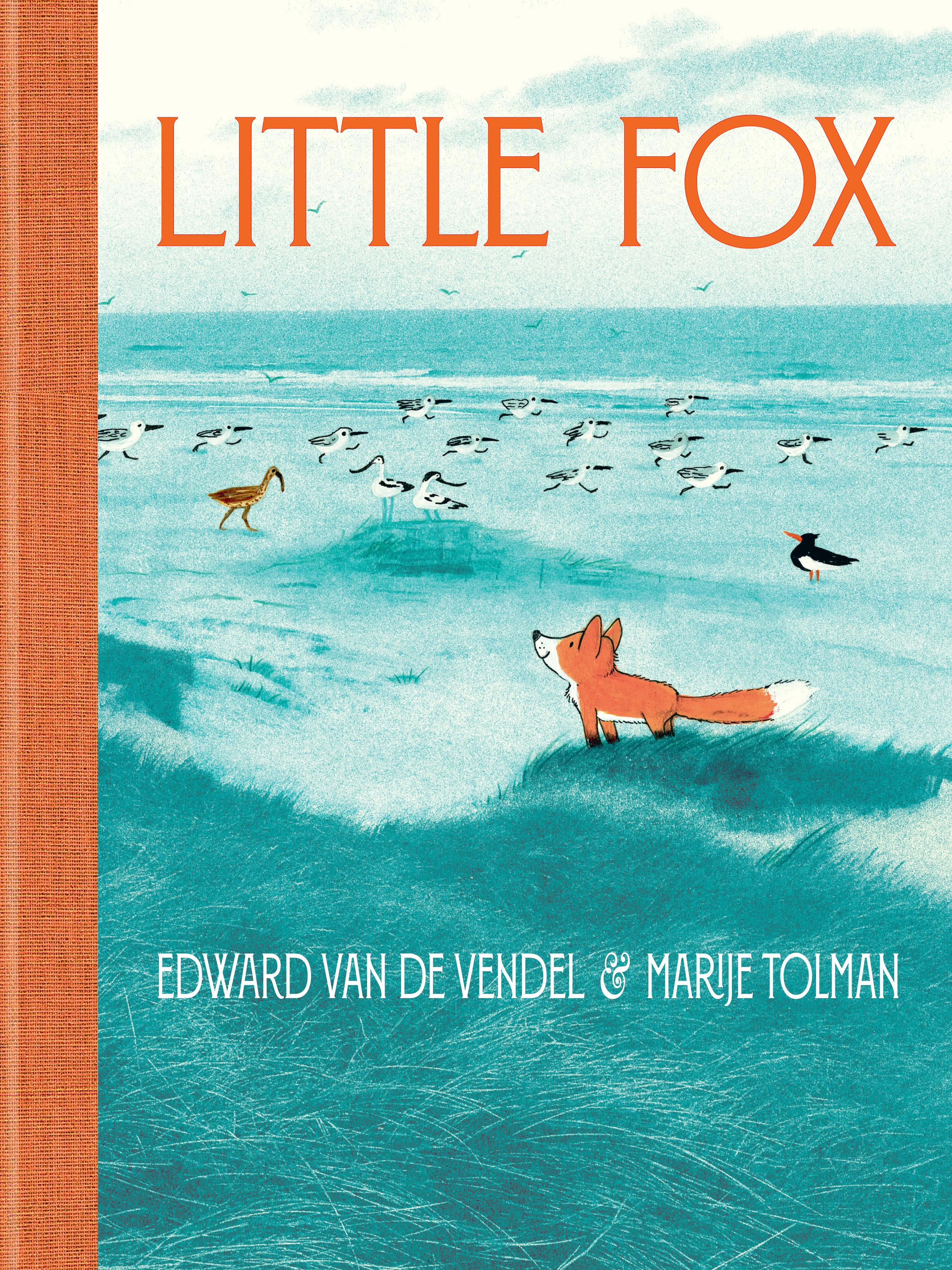 Vorderes Coverbild Little Fox