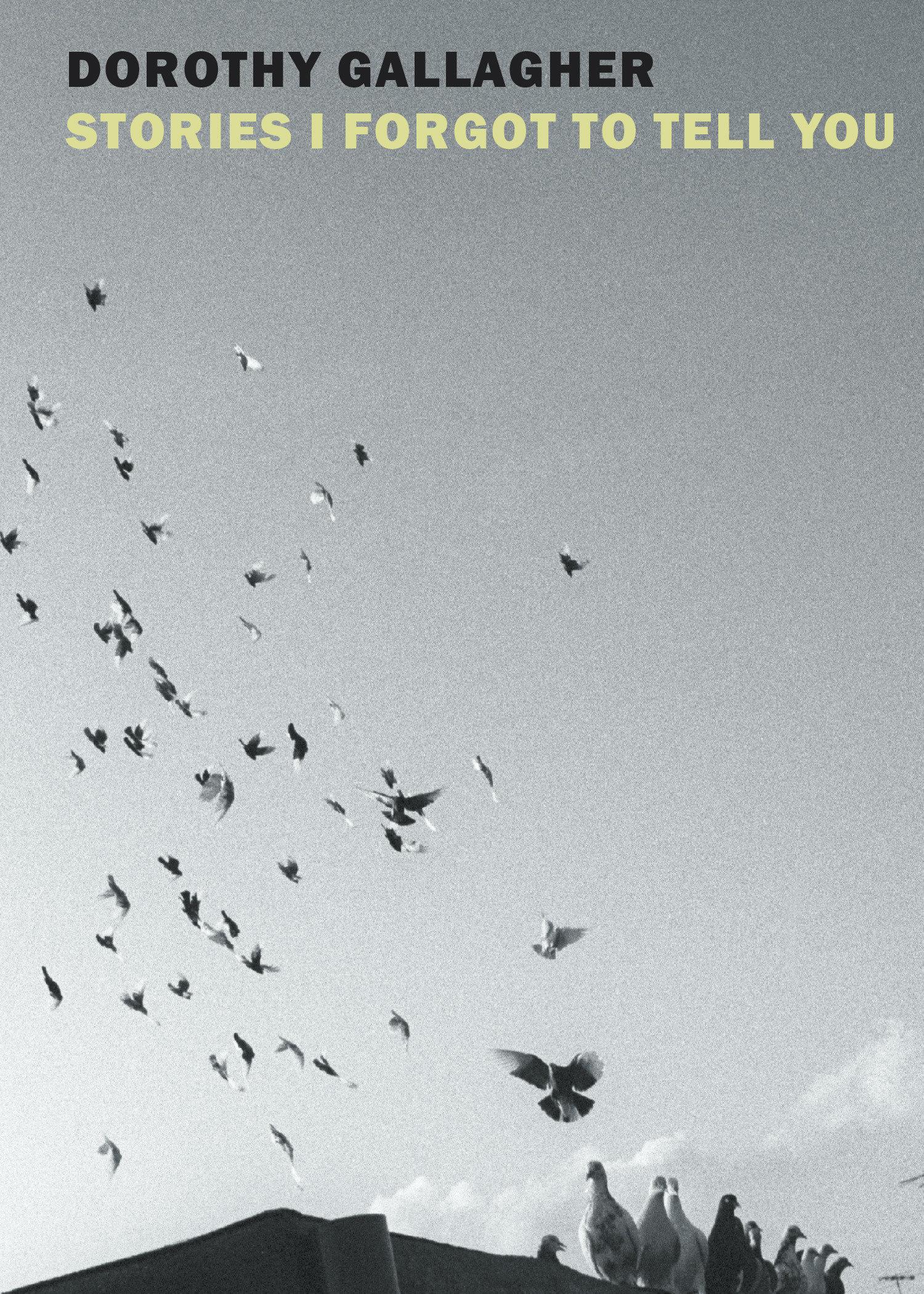 Vorderes Coverbild Stories I Forgot to Tell You