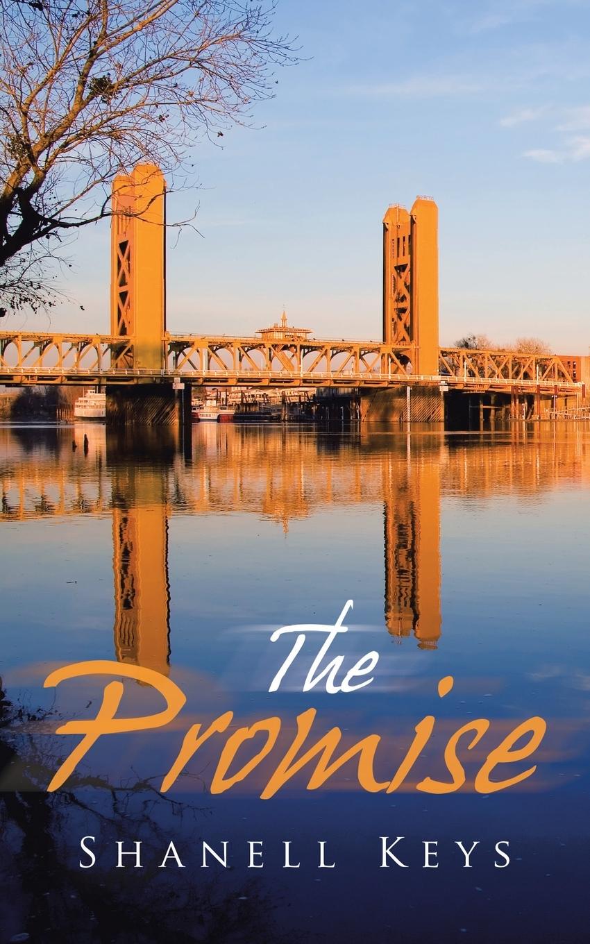 Vorderes Coverbild The Promise
