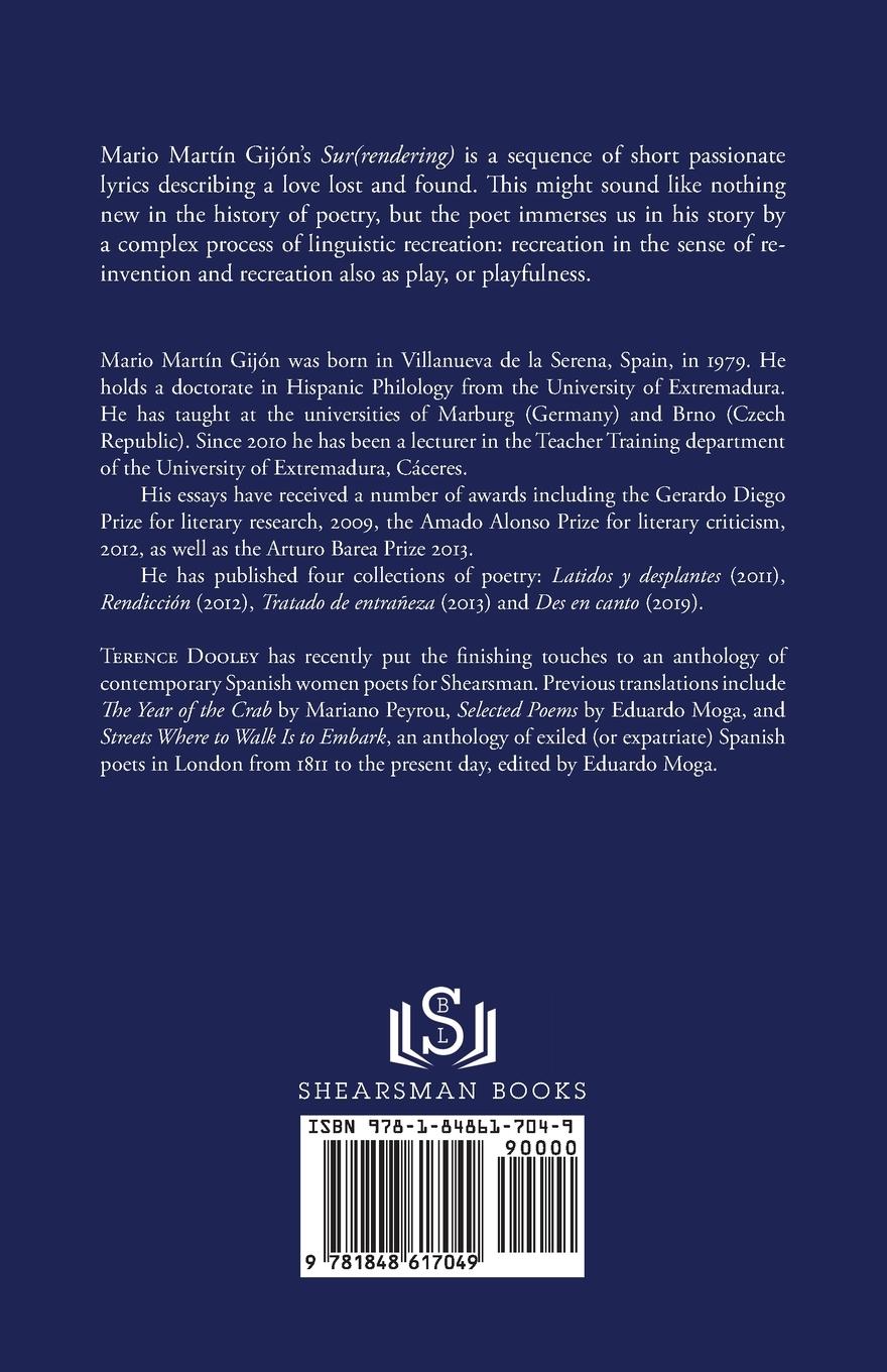 Rückseitencover (Sur)rendering