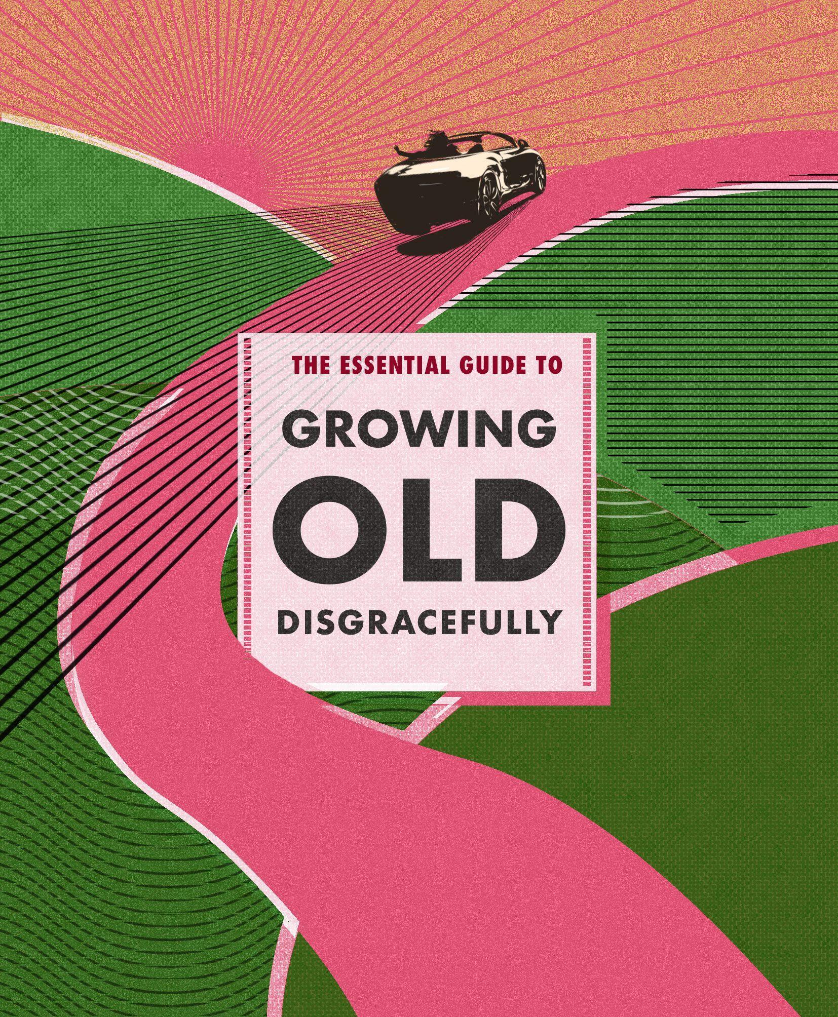 Vorderes Coverbild The Essential Guide to Growing Old Disgracefully