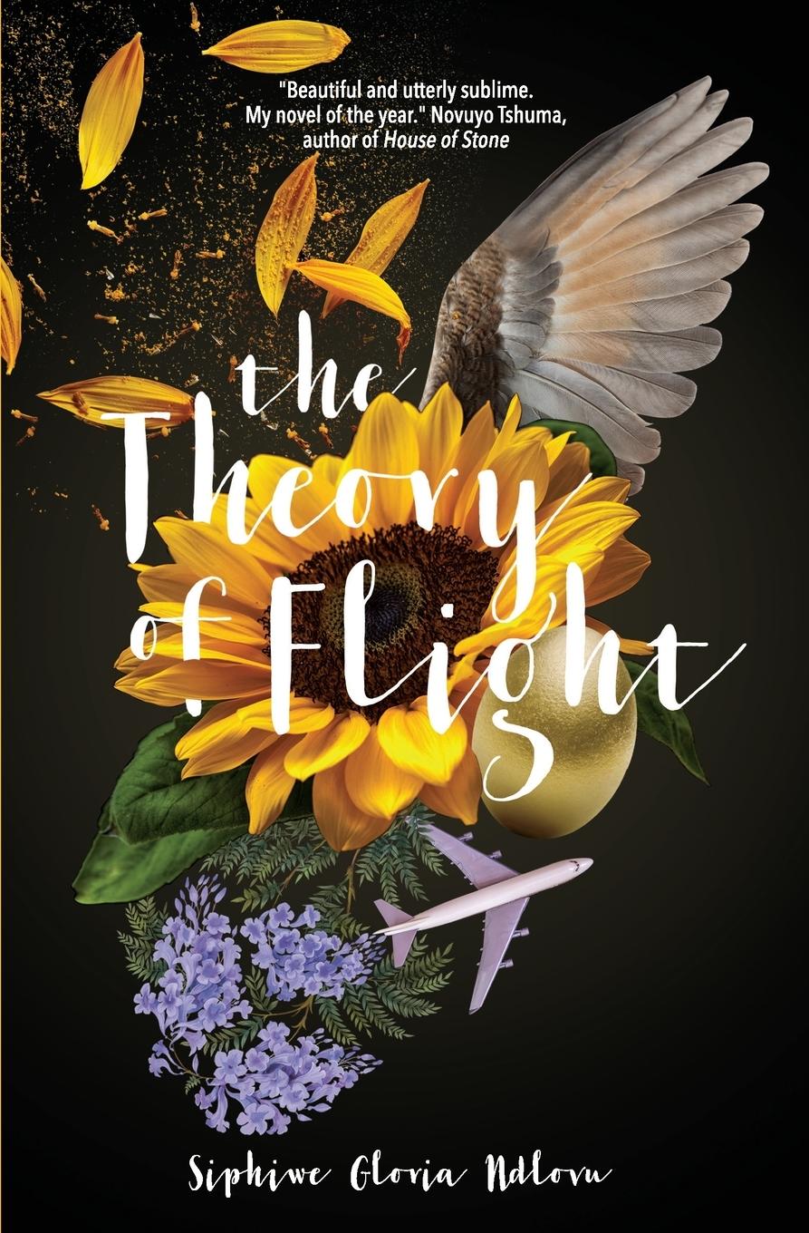 Vorderes Coverbild The Theory of Flight