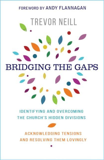 Vorderes Coverbild Bridging the Gaps