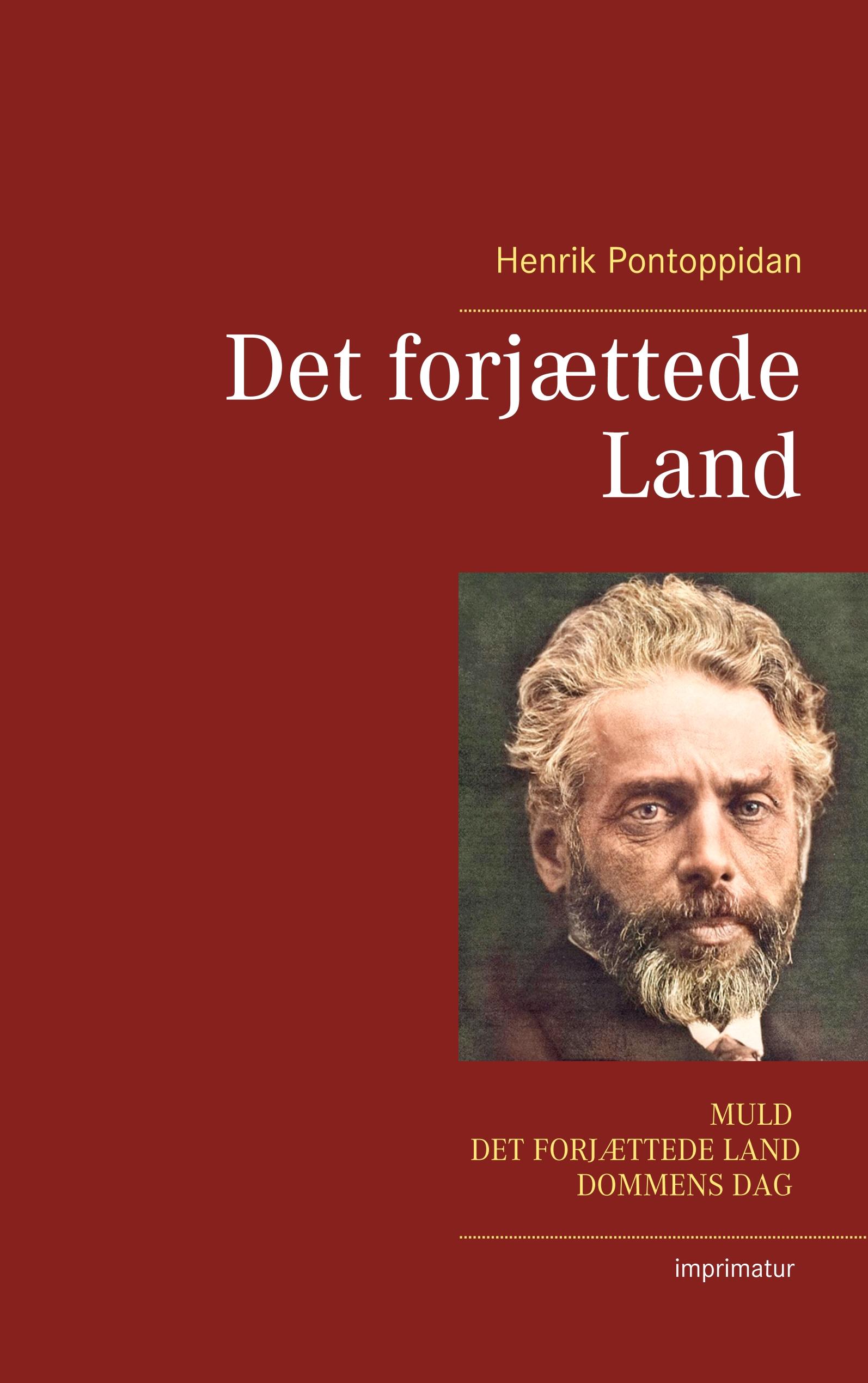 Vorderes Coverbild Det forjættede Land