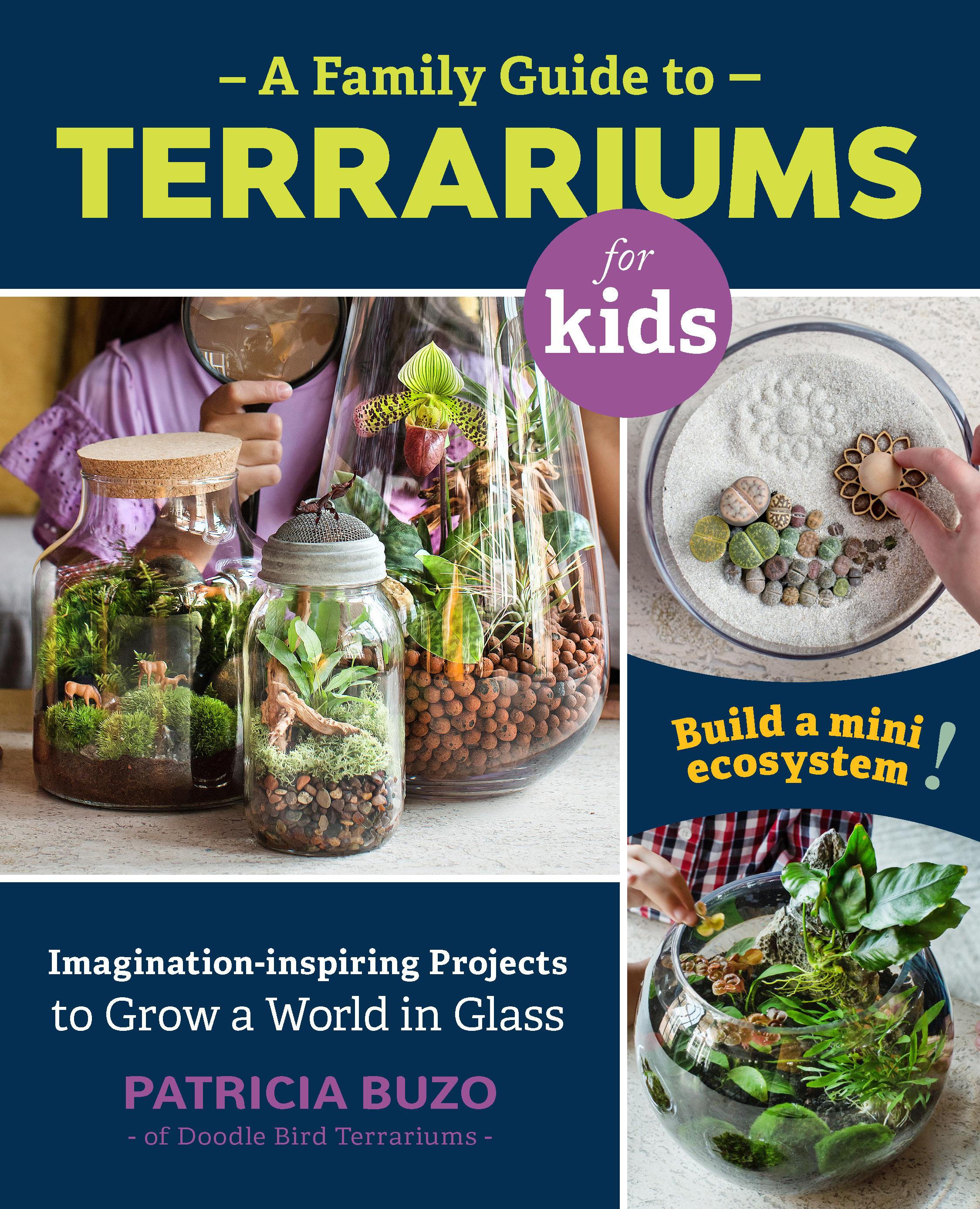 Vorderes Coverbild A Family Guide to Terrariums for Kids