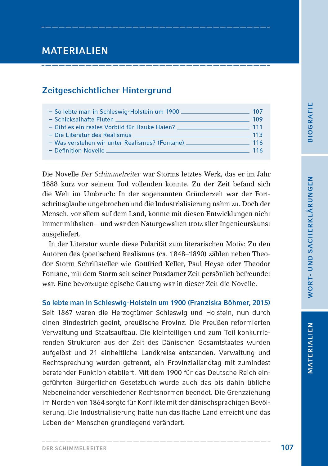 Beispielinhalt (Bild) Der Schimmelreiter