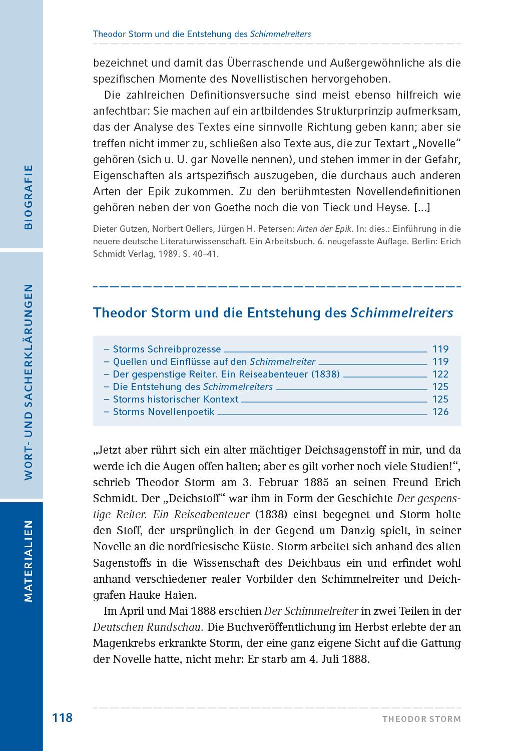 Beispielinhalt (Bild) Der Schimmelreiter
