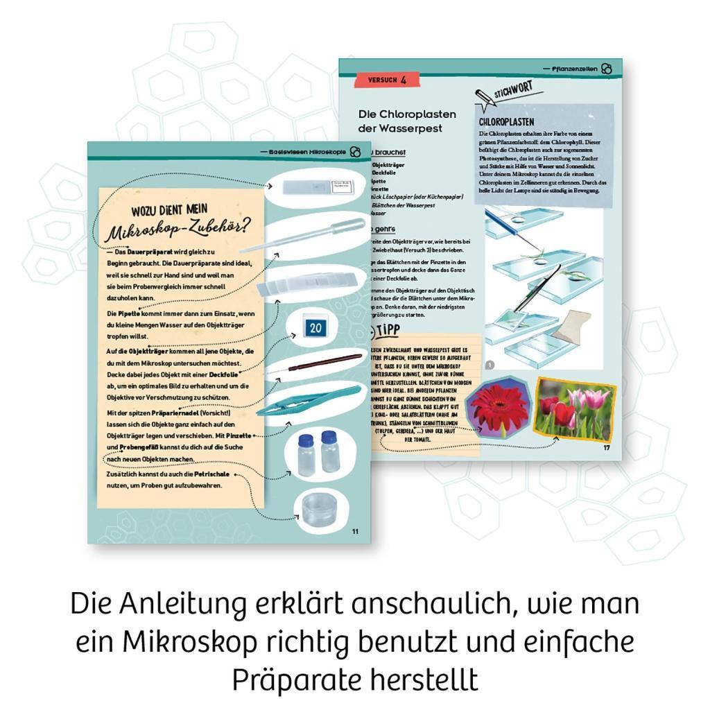 Beispielinhalt (Bild) Entdecker-Mikroskop
