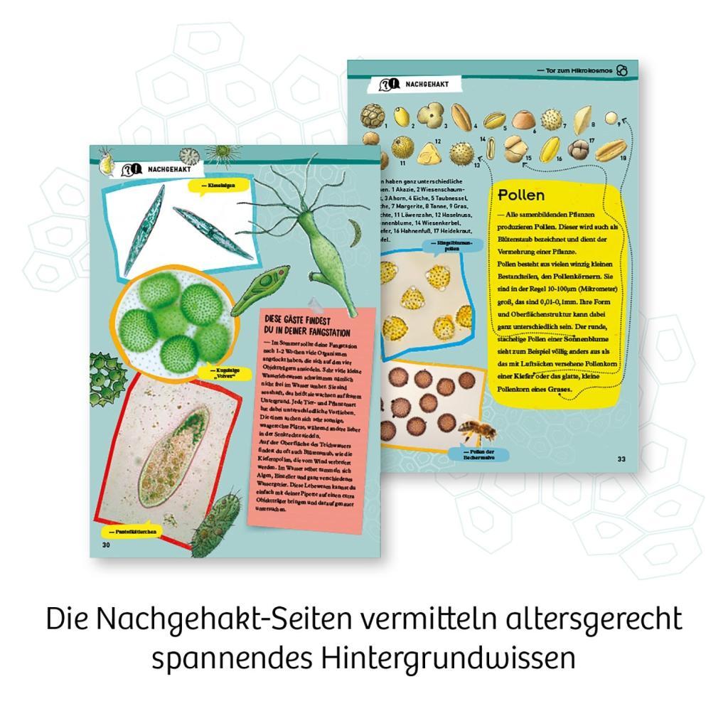 Beispielinhalt (Bild) Entdecker-Mikroskop