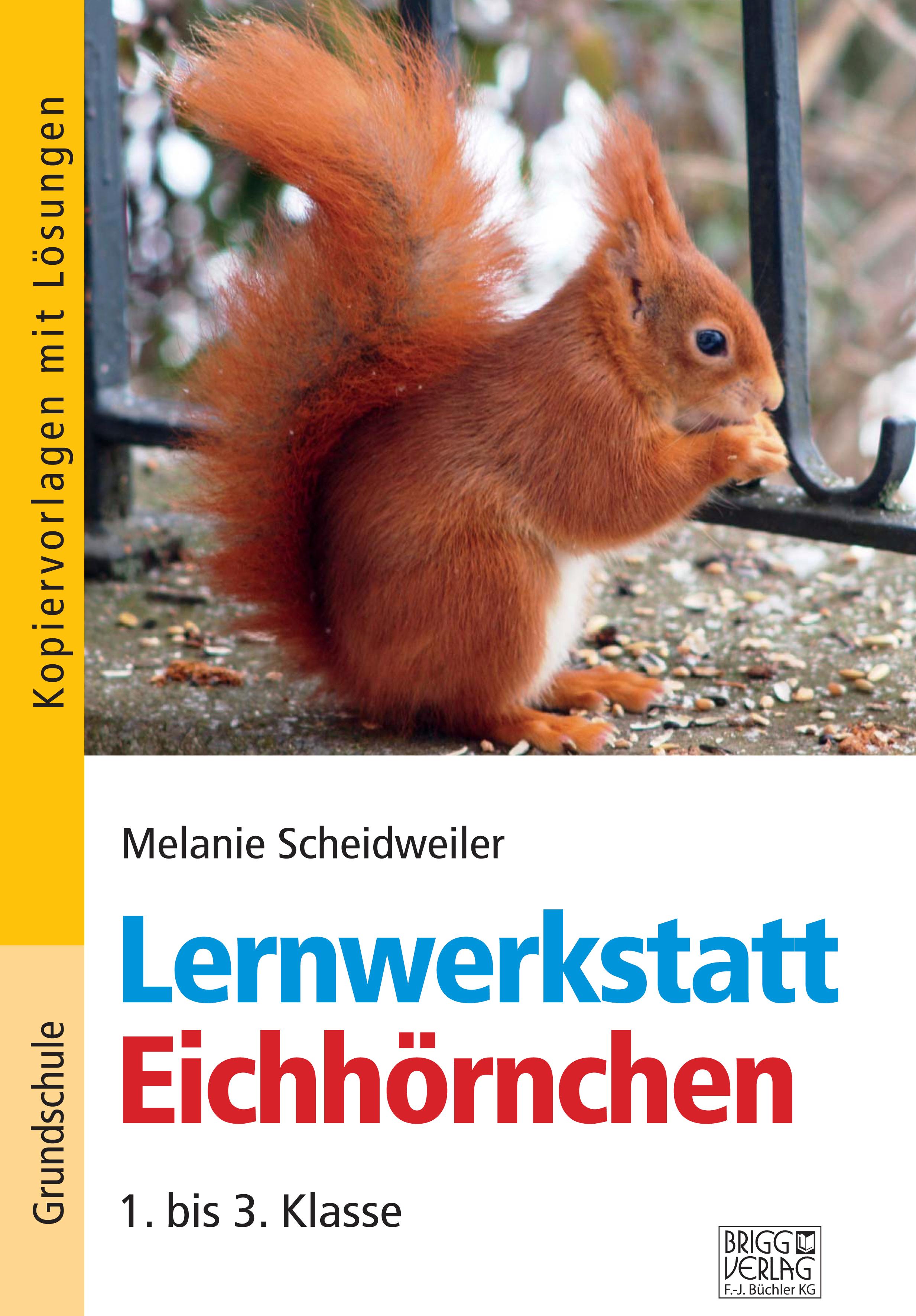 Vorderes Coverbild Lernwerkstatt Eichhörnchen