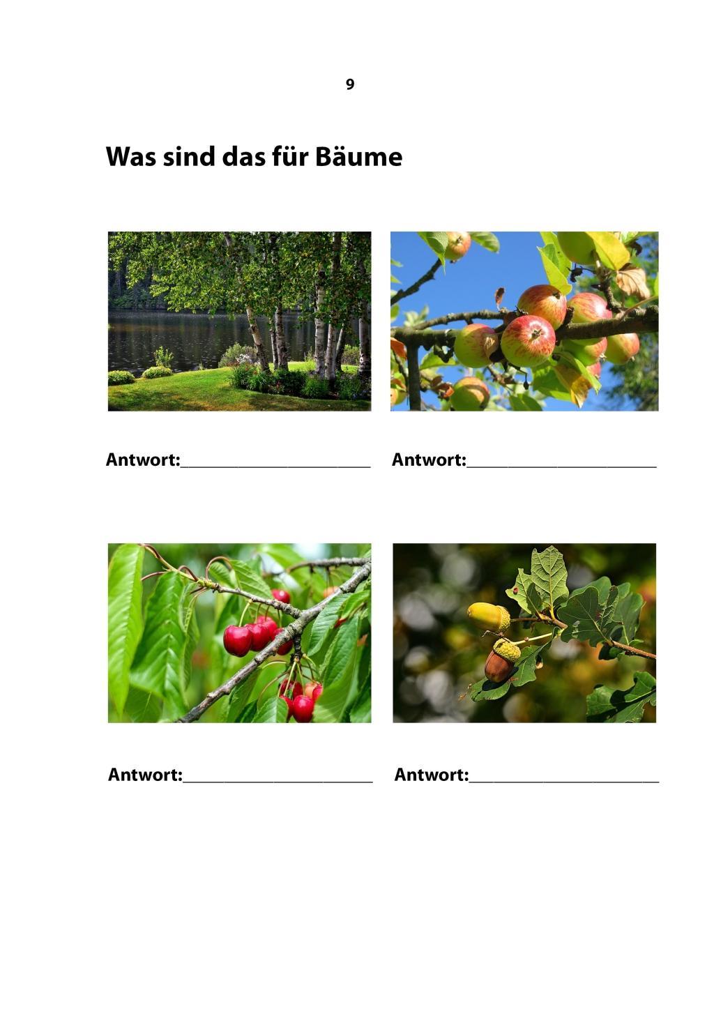 Beispielinhalt (Bild) Da klingt dein Herz 2 (inkl. 2 Begleit-CDs)