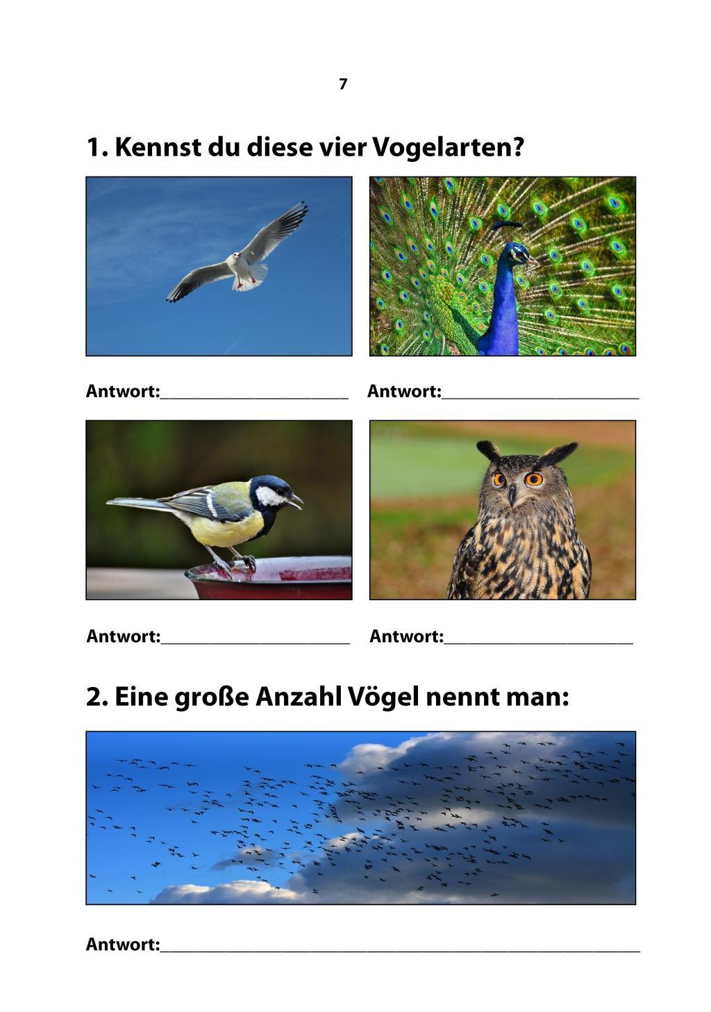 Beispielinhalt (Bild) Da klingt dein Herz 1 (inkl. 2 Begleit-CDs)