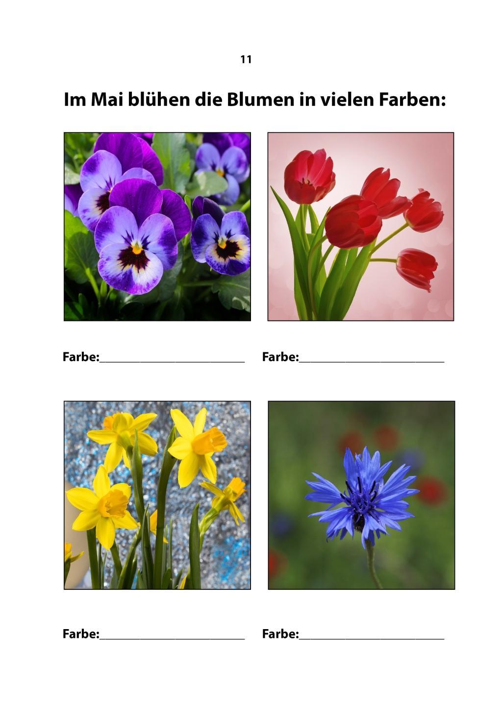 Beispielinhalt (Bild) Da klingt dein Herz 1 (inkl. 2 Begleit-CDs)