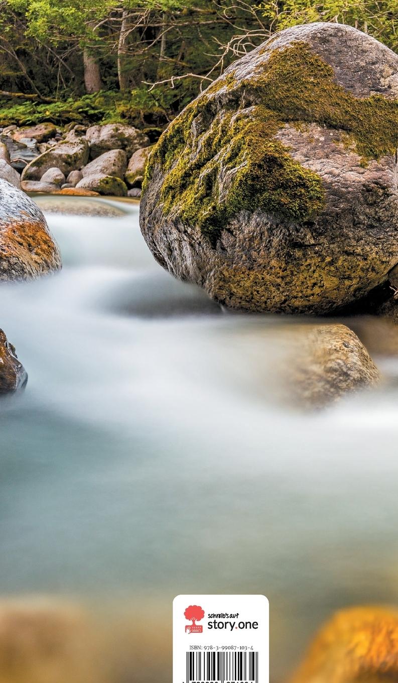 Rückseitencover Federspiel. Life is a Story - story.one