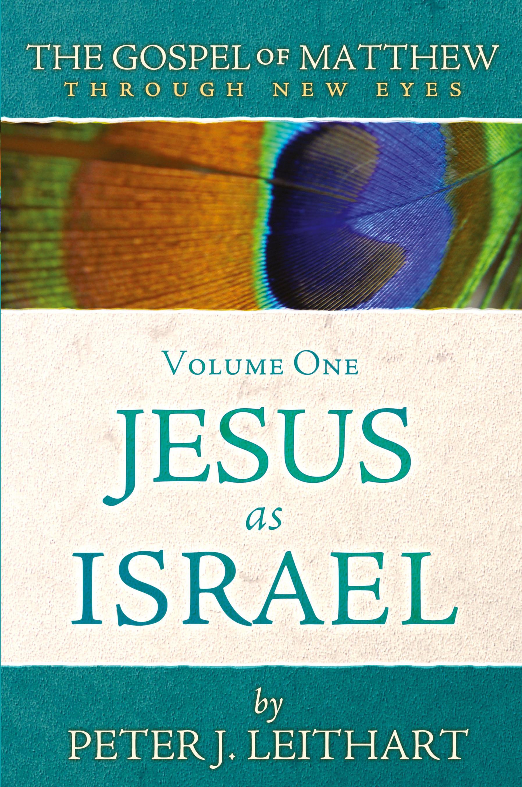 Vorderes Coverbild The Gospel of Matthew Through New Eyes Volume One