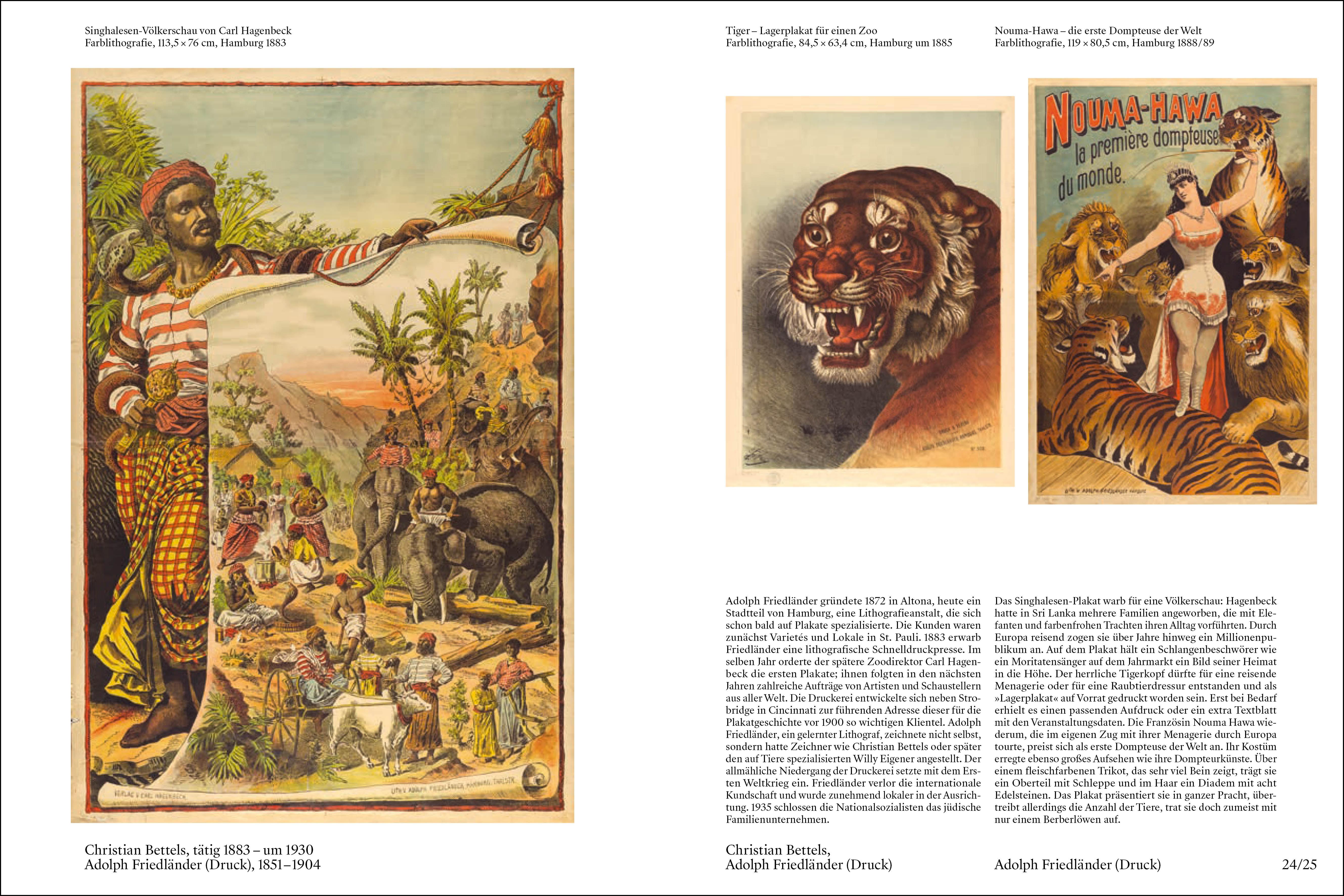 Beispielinhalt (Bild) Das Plakat