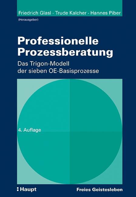 Vorderes Coverbild Professionelle Prozessberatung
