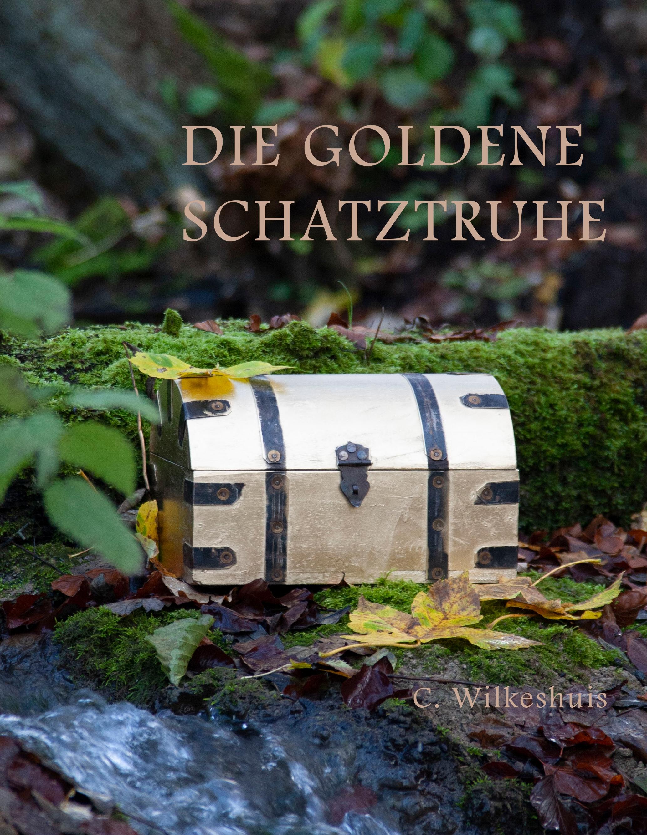 Vorderes Coverbild Die goldene Schatztruhe