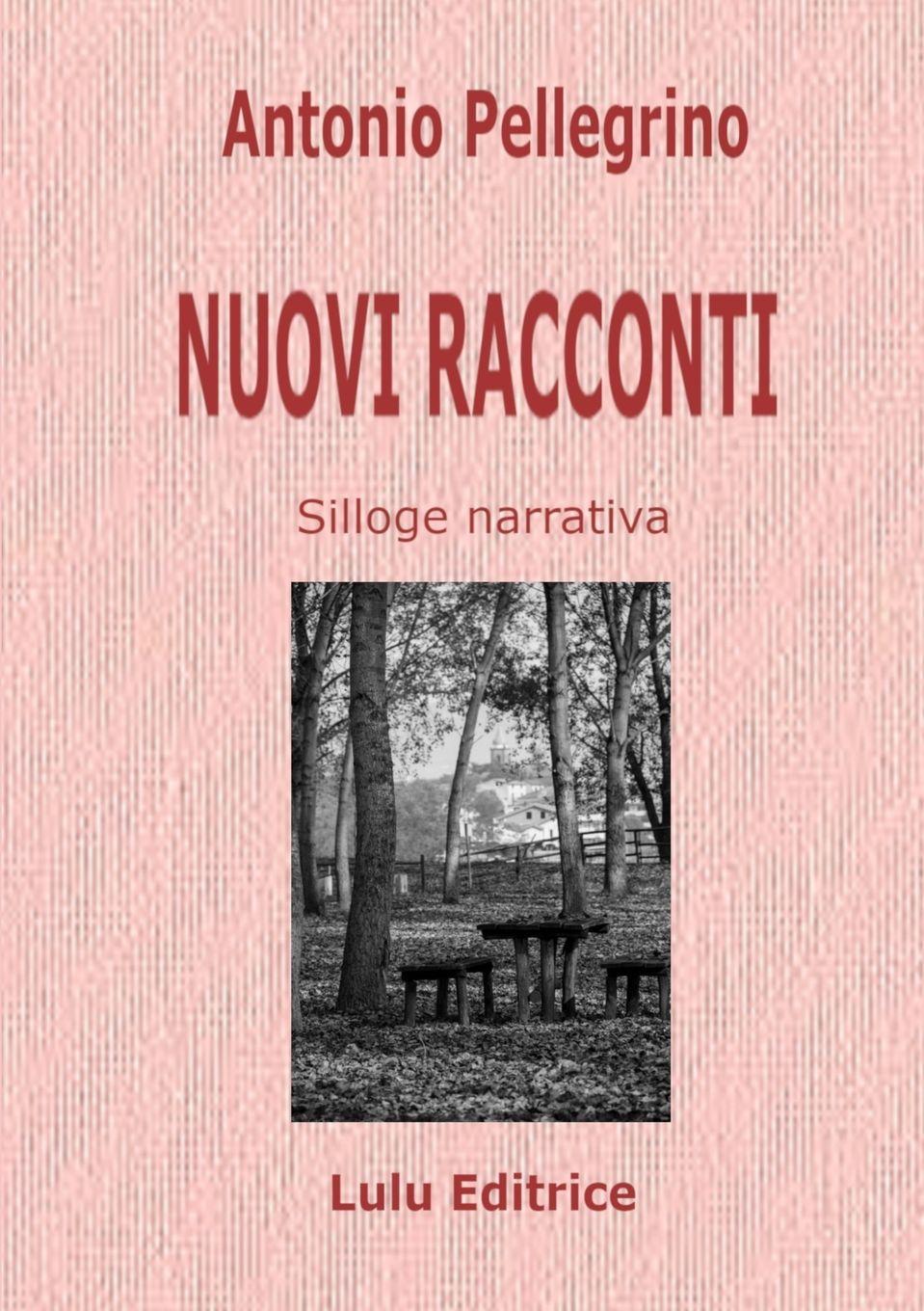 Vorderes Coverbild NUOVI RACCONTI
