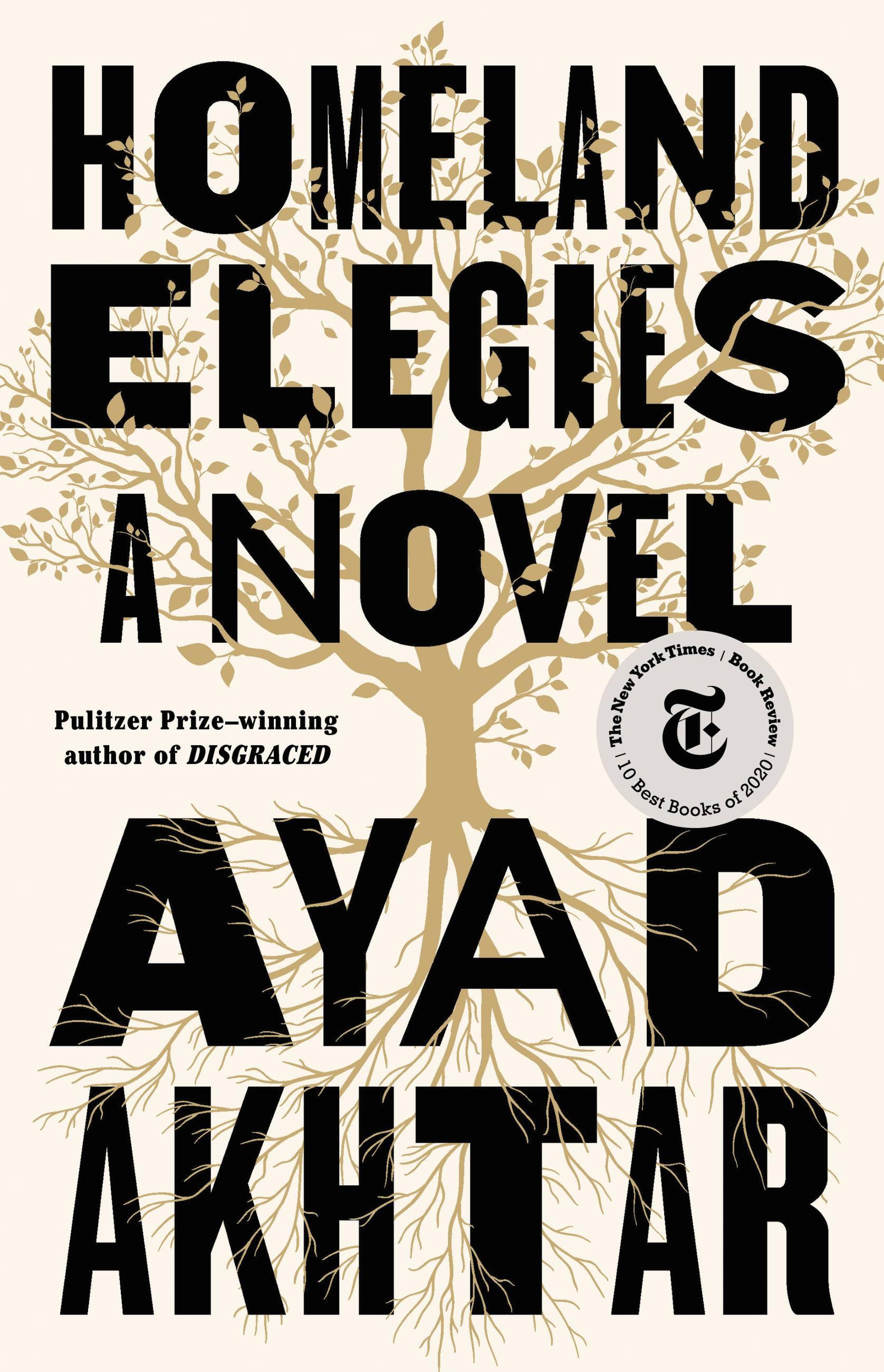 Vorderes Coverbild Homeland Elegies