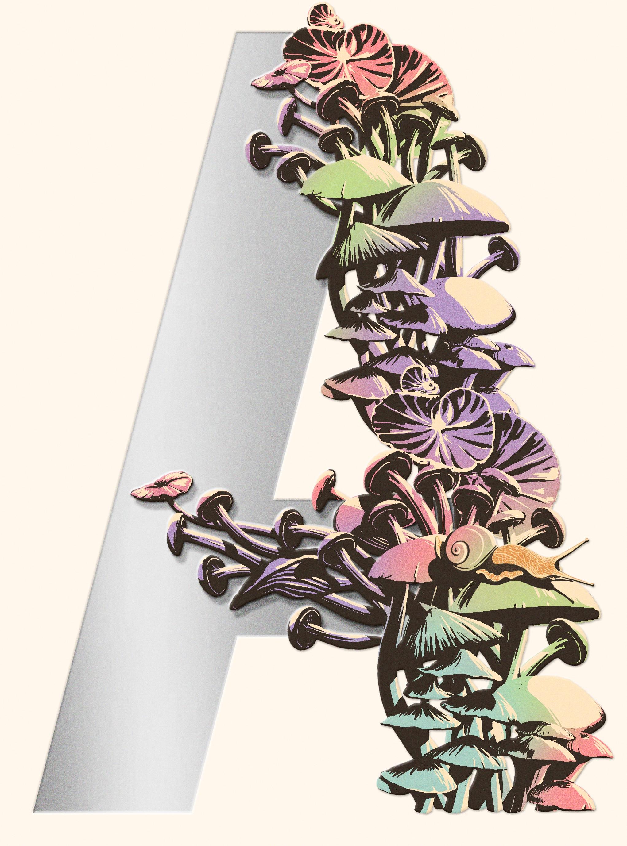 Vorderes Coverbild Ambergris