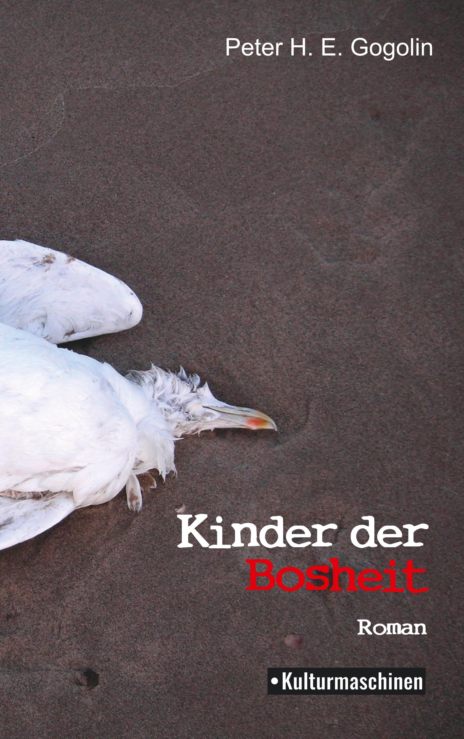 Vorderes Coverbild Kinder der Bosheit