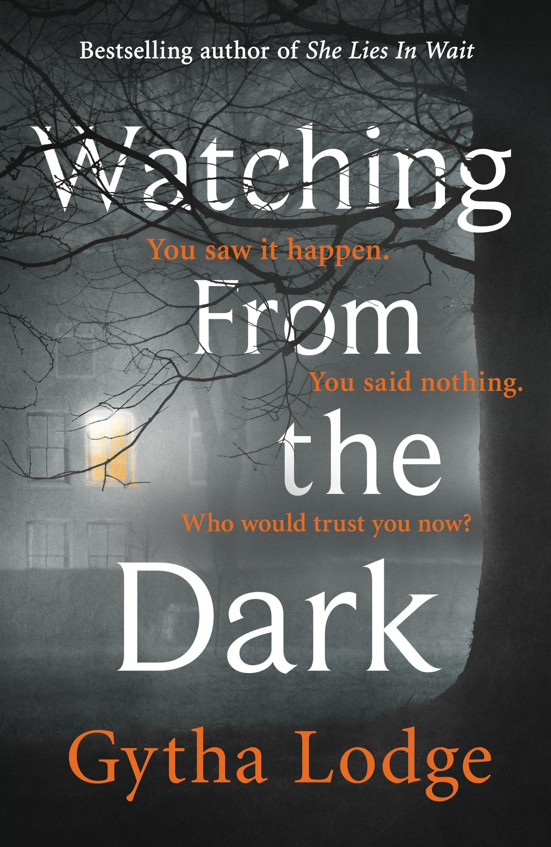 Vorderes Coverbild Watching from the Dark