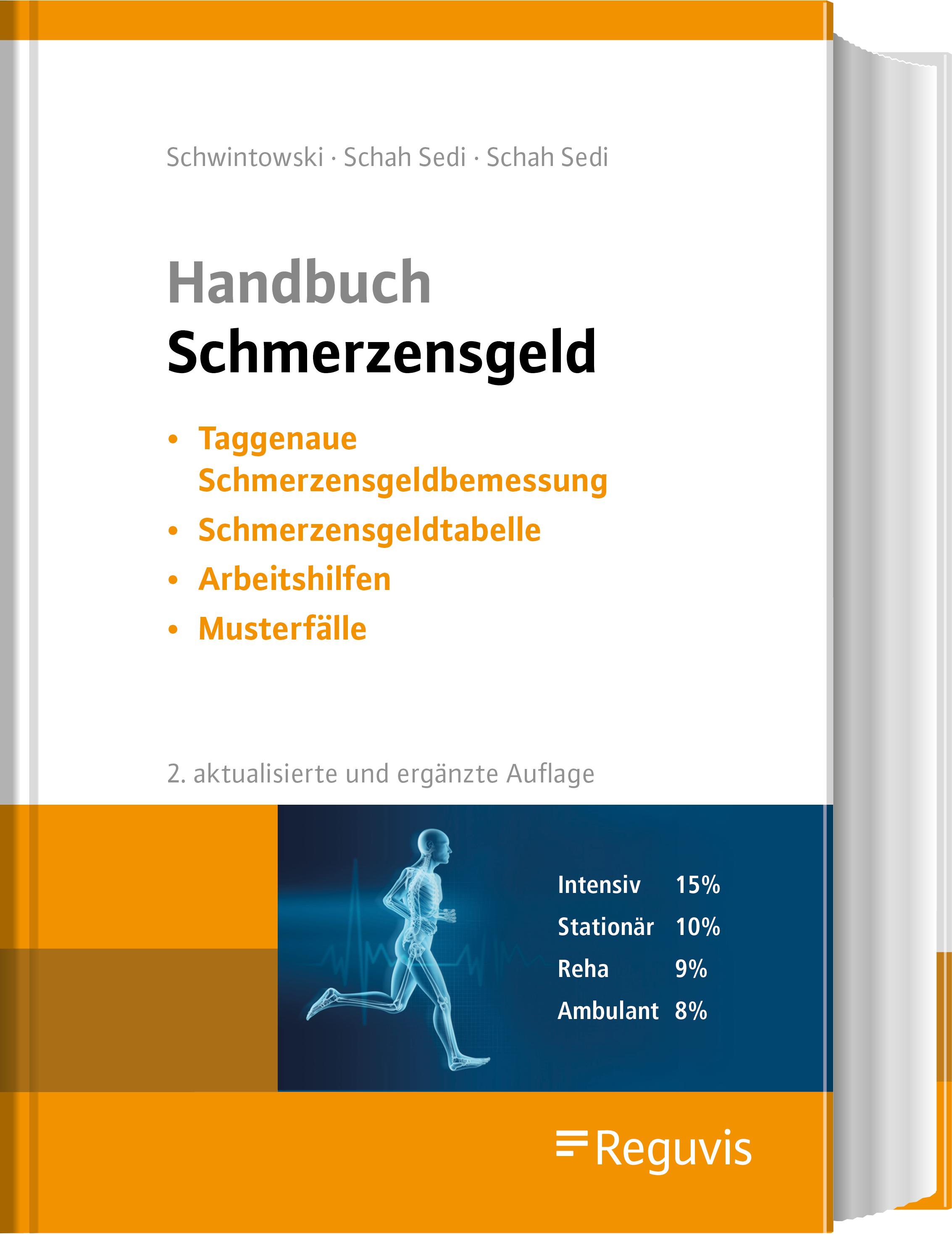 Vorderes Coverbild Handbuch Schmerzensgeld
