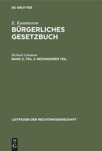 Vorderes Coverbild Besonderer Teil