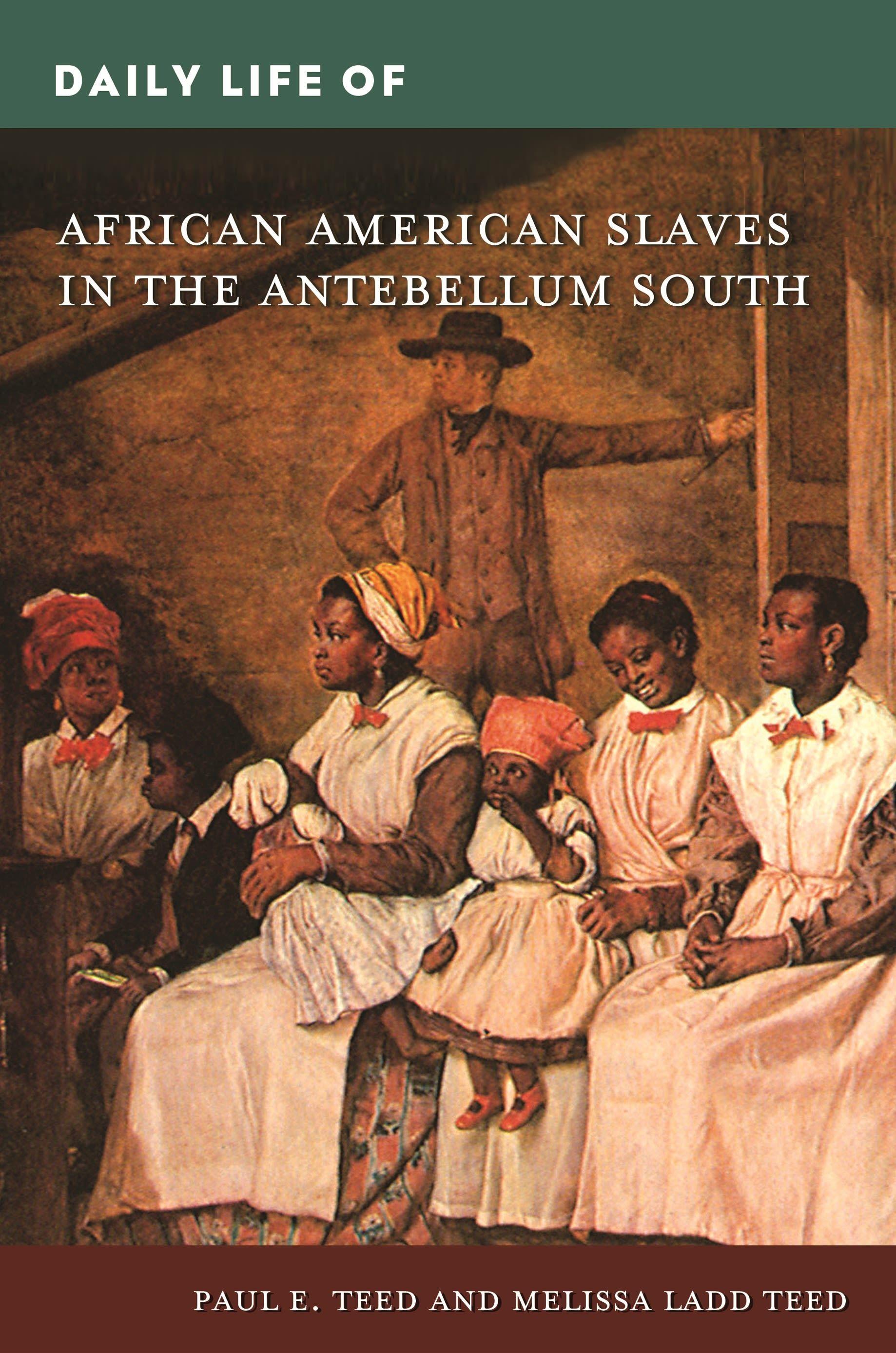 Vorderes Coverbild Daily Life of African American Slaves in the Antebellum South