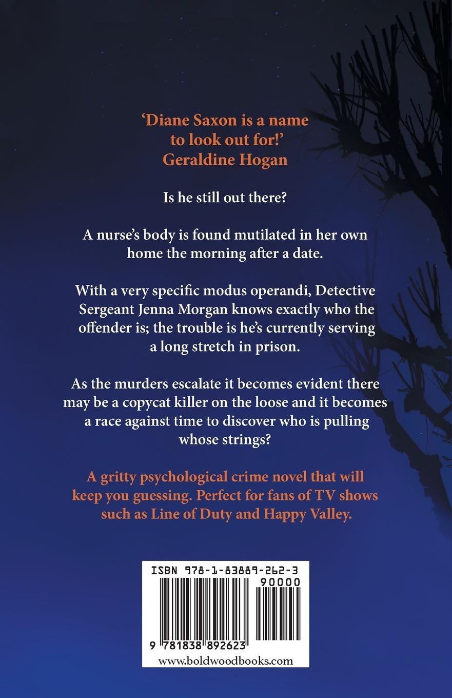 Rückseitencover Someone's There