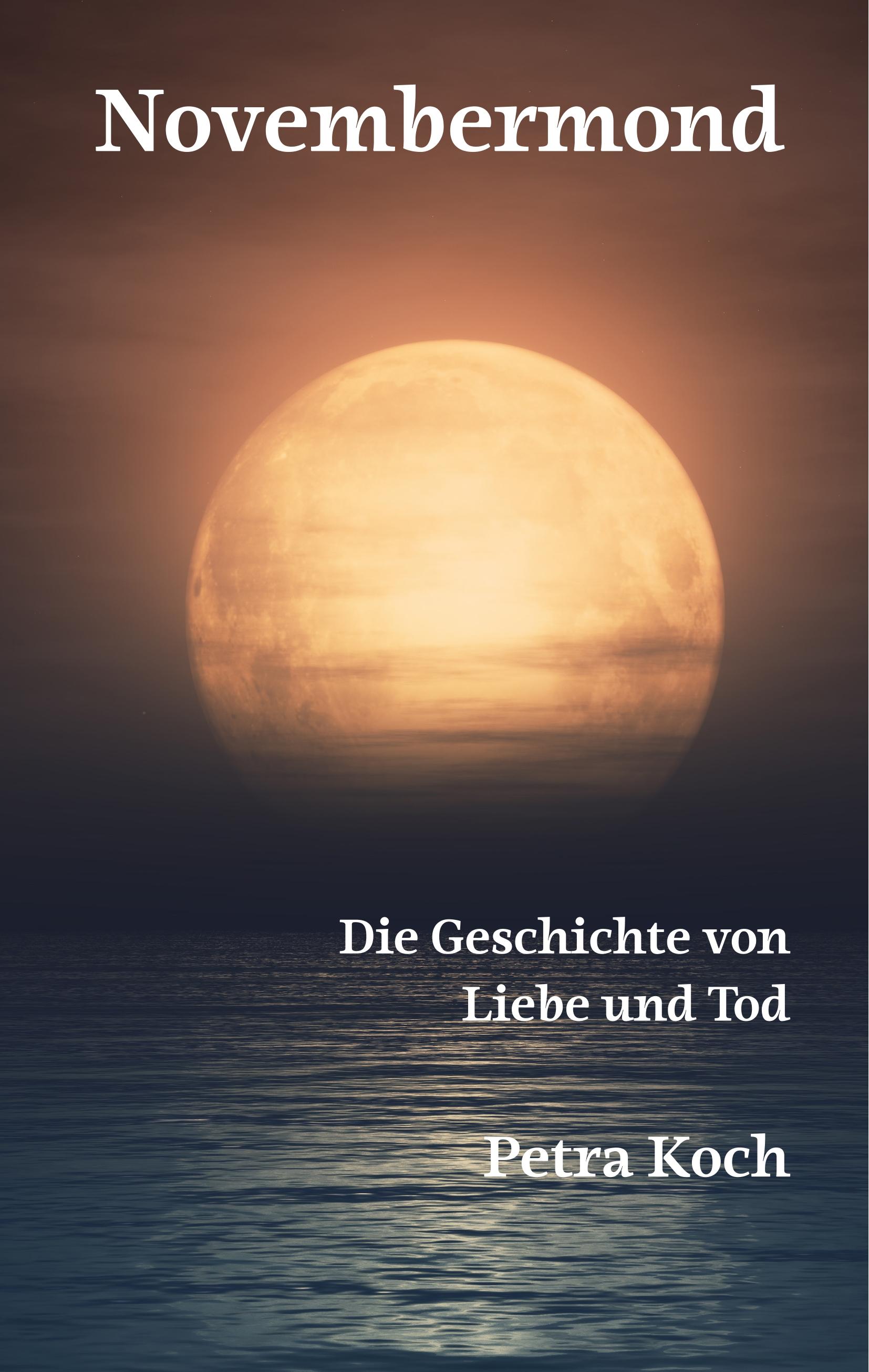 Vorderes Coverbild Novembermond