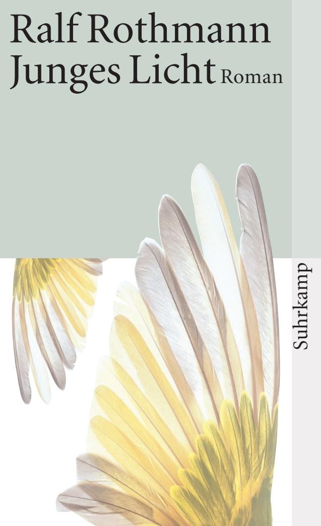 Vorderes Coverbild Junges Licht