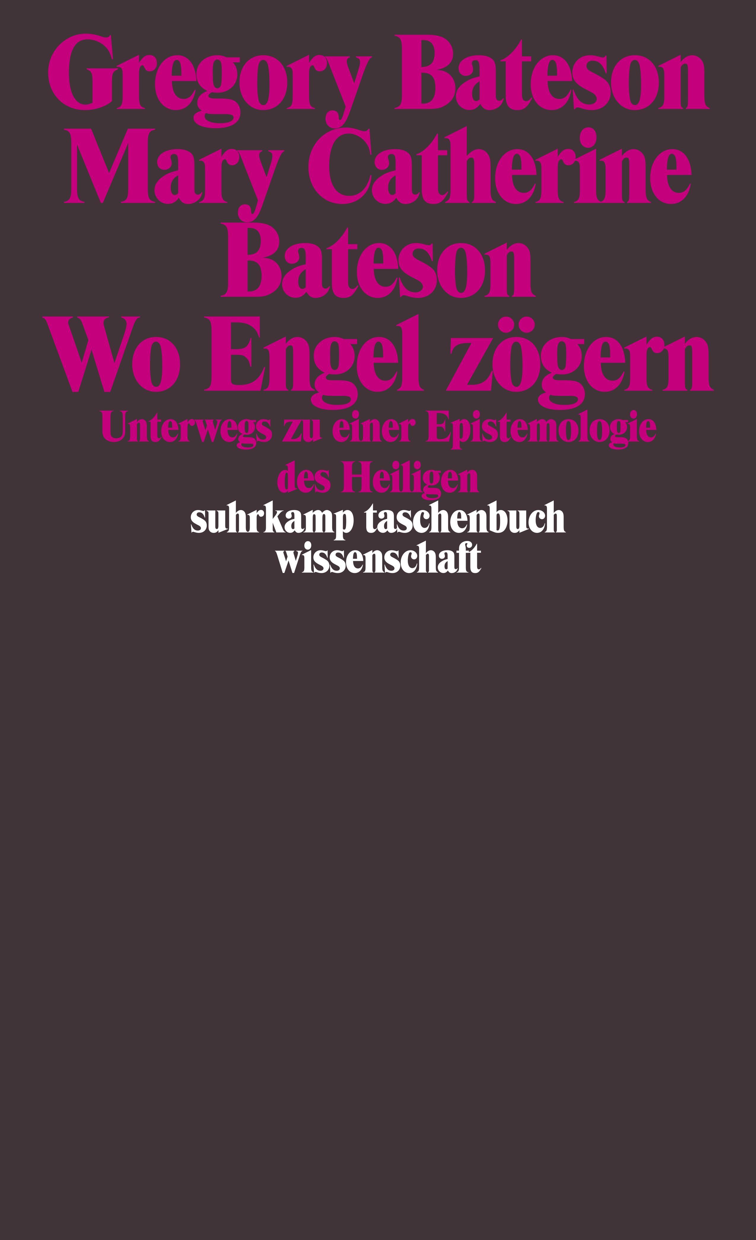 Vorderes Coverbild Wo Engel zögern
