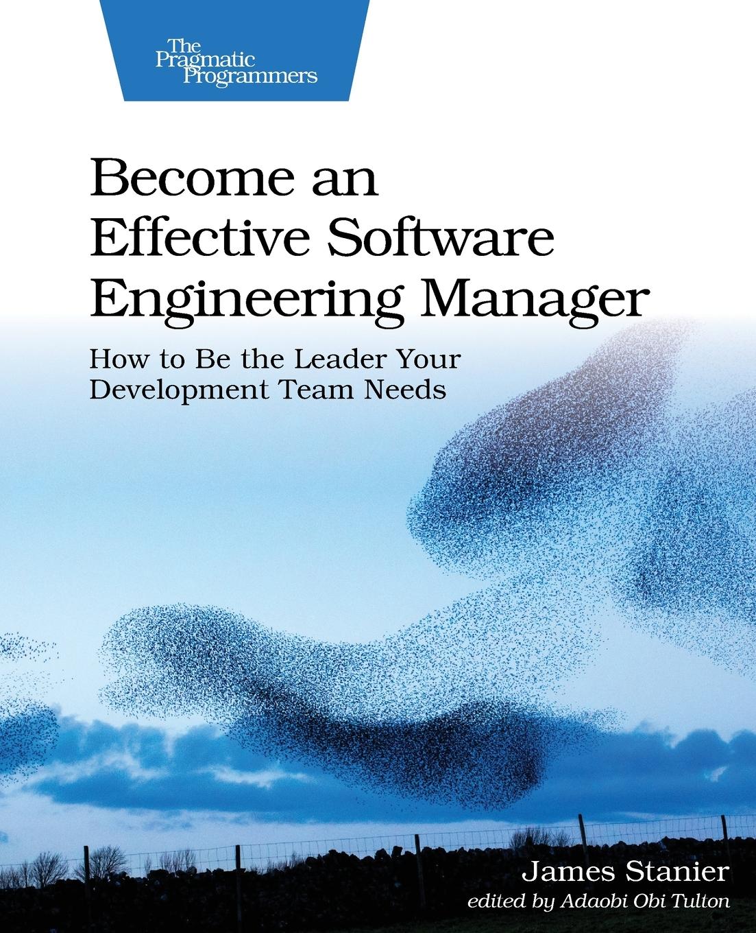 Vorderes Coverbild Become an Effective Software Engineering Manager
