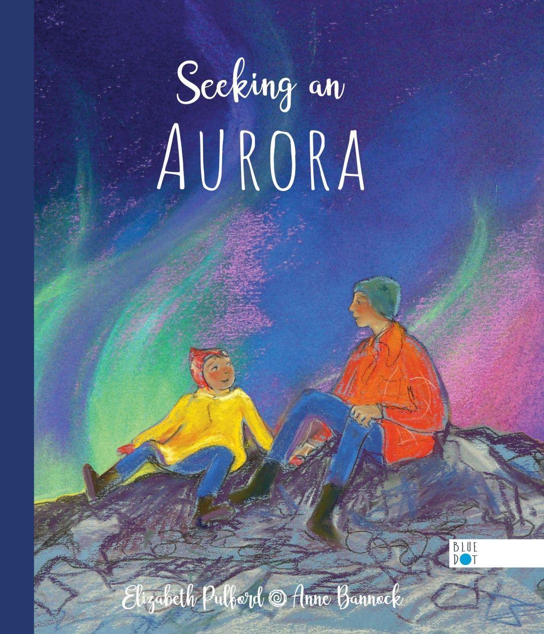 Vorderes Coverbild Seeking an Aurora