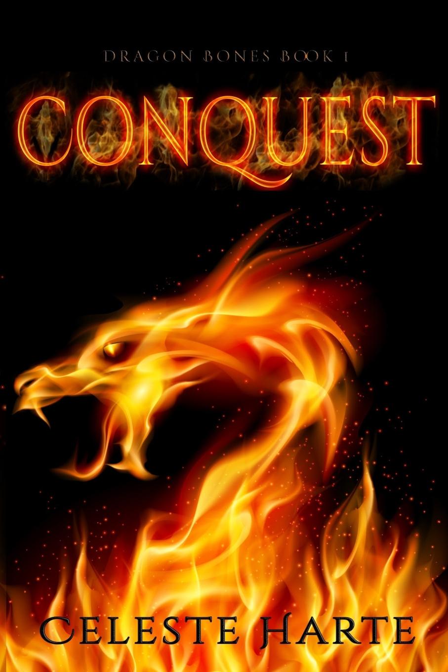 Vorderes Coverbild Conquest