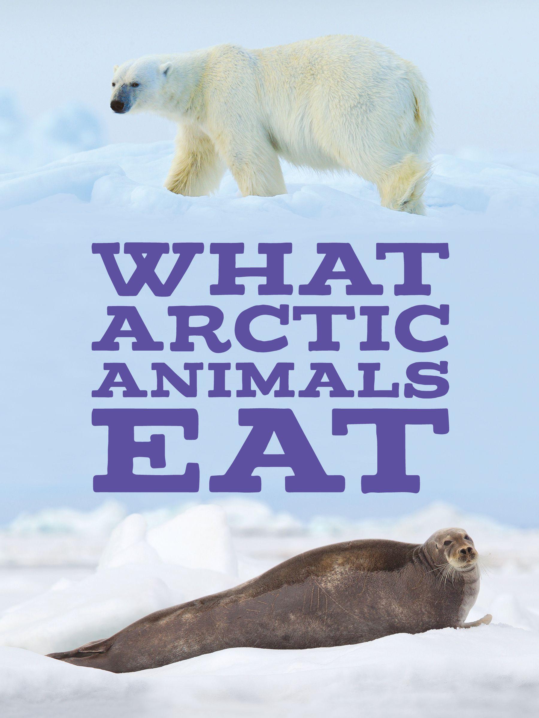 Vorderes Coverbild What Arctic Animals Eat