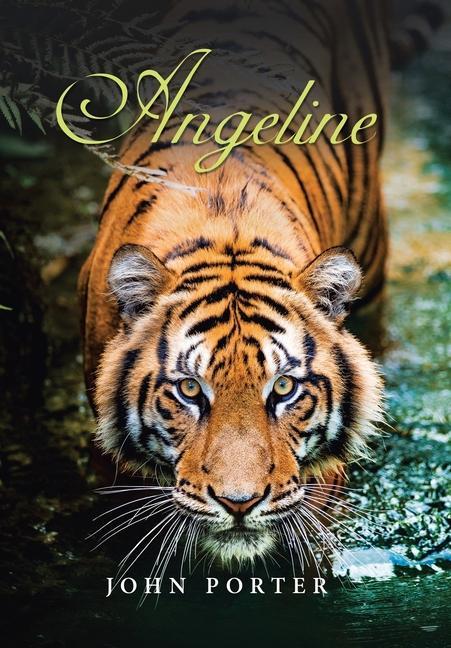 Vorderes Coverbild Angeline